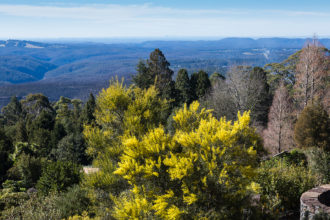 beautiful, blue mountain botanic garden, blue mountains australia, Blue Mountains National Park, Botanic, Botanical, botanical gardens, bushwalk, conservation, Corporate Art, Corporate Art Sydney, district, Environment, evergreen, fall, Fine Art Photographs, flora, flower, flowers, foliage, formation, Gallery, Garden, Gardens, green, Home Decor, hotel decor, landscape, located, Looking Towrds Wollemi and Yengo National Parks, Mount, mount tomah, mountain, Mountains, natural, nature, New, New South Wales Australia, Northern Blue Mountains Wilderness, Office Art, Office Decor, originally, outdoor, Park, Picturesque, plant, plants, Public, rainforest, rural, scenery, scenic, serenity, the blue mountains botanic garden, The Cascade, The Cascade at the Blue Mountains Botanic Garden, The Cascade at the Blue Mountains Botanic Garden. Tomah, tranquil, Views, Wall Art For Home and Office, Waterfall, Yellow