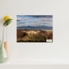 Tasmanian Beach Wall Art featuring Dolphin Sands, Coastal Canvas Print for Home and Office Decor