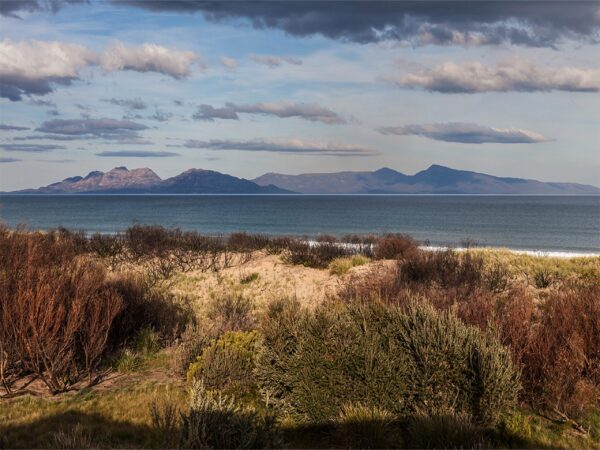 Tasmanian Beach Wall Art featuring Dolphin Sands, Coastal Canvas Print for Home and Office Decor