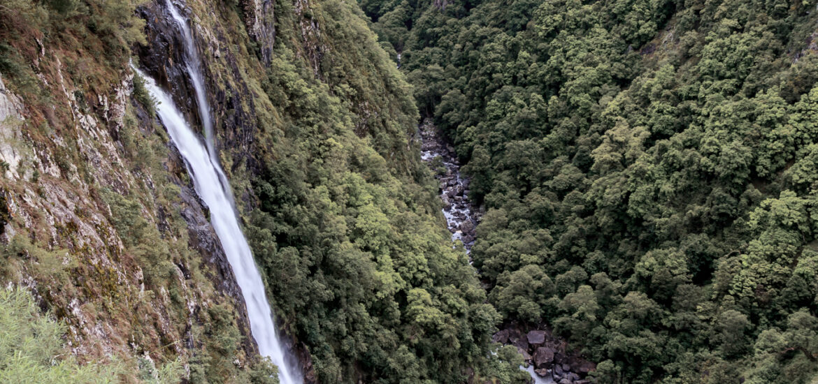Ellenborough Falls waterfall near Port Macquarie NSW Australia, vertical fine art landscape photograph featuring dramatic cliff drop, misty valley and layered hinterland scenery.