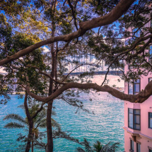 Kirribilli view of the Sydney Harbour Bridge framed by trees, with turquoise harbour water and pink waterfront architecture.