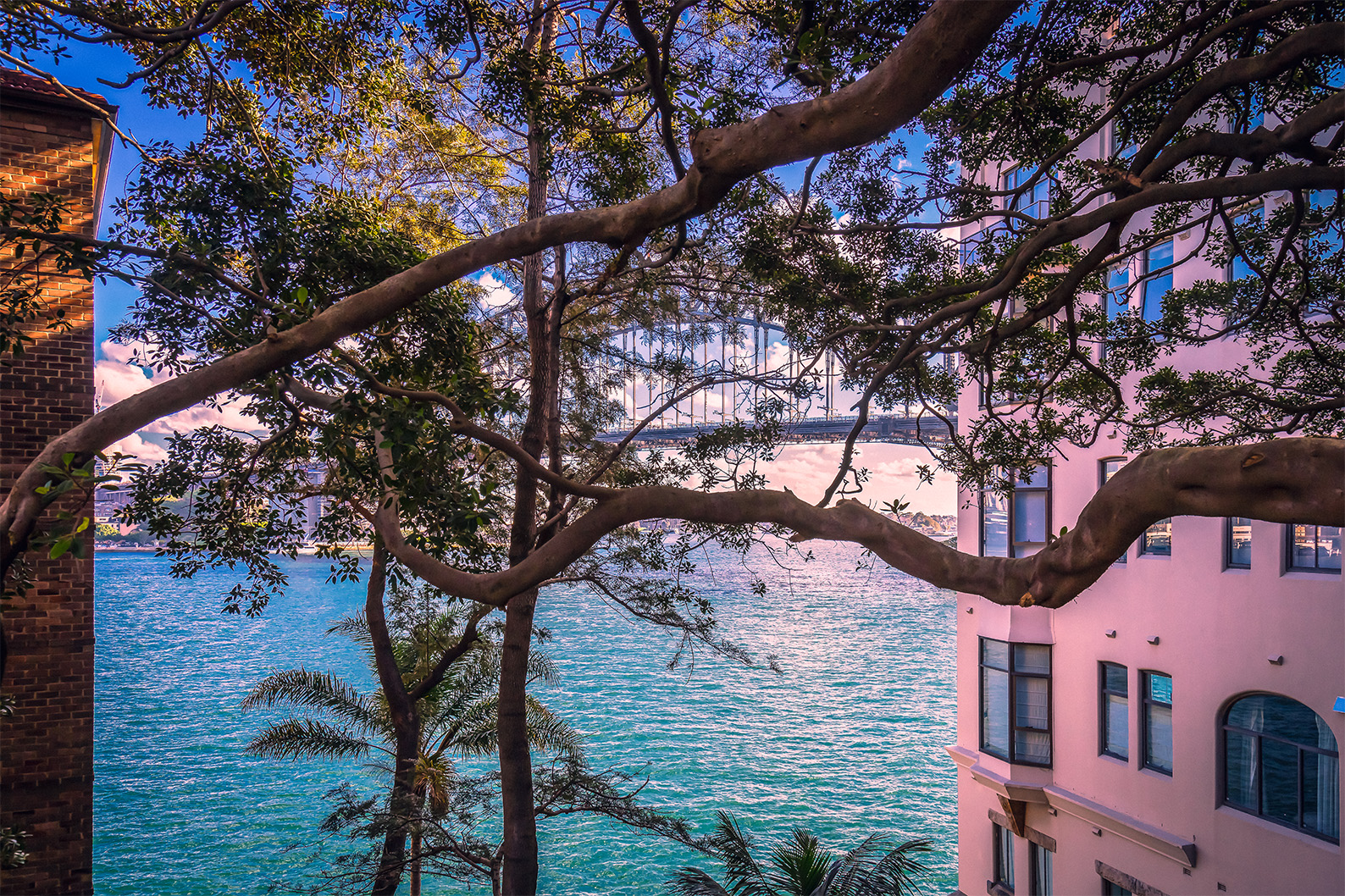 Kirribilli view of the Sydney Harbour Bridge framed by trees, with turquoise harbour water and pink waterfront architecture.