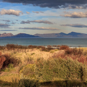 Tasmanian Beach Wall Art featuring Dolphin Sands, Coastal Wall Art Print for Home and Office Decor